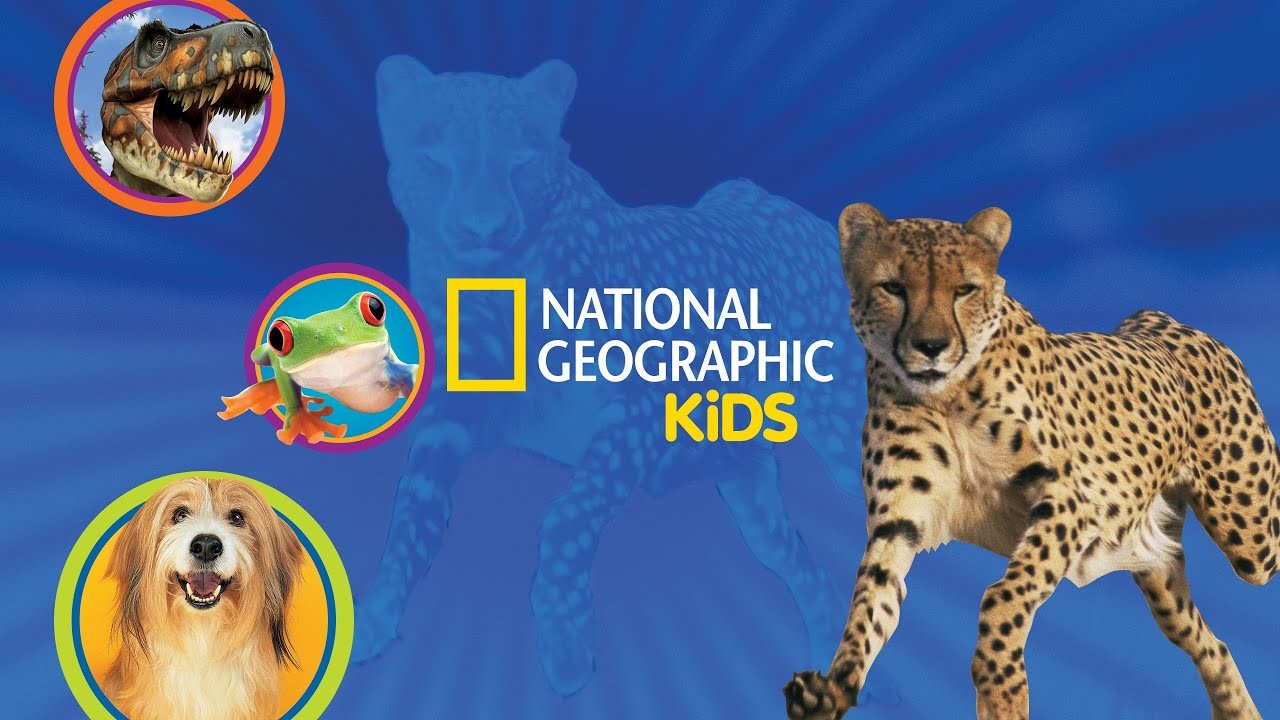 Nat Geo Kids - YouTube kanal za znatiželjnu (odraslu) djecu