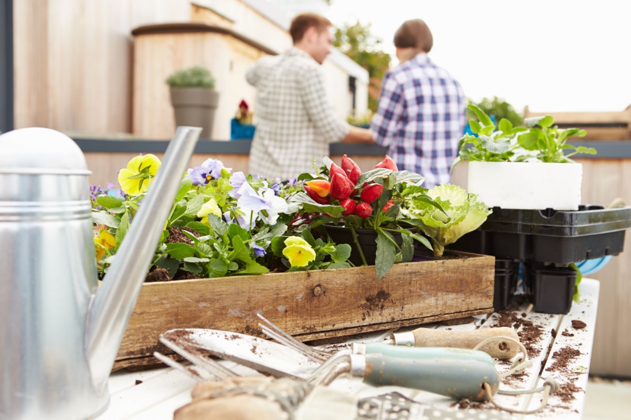 YouTube kanal Urban Gardening: Vrijeme je za urbane bašte